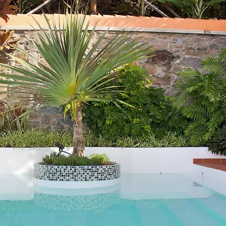 Villa Ourmadeira - Do Mar Iv, Secluded Calheta (Madeira)