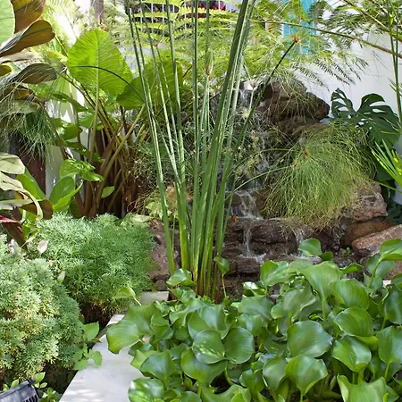 Ourmadeira - Do Mar Iv, Secluded * Calheta (Madeira)