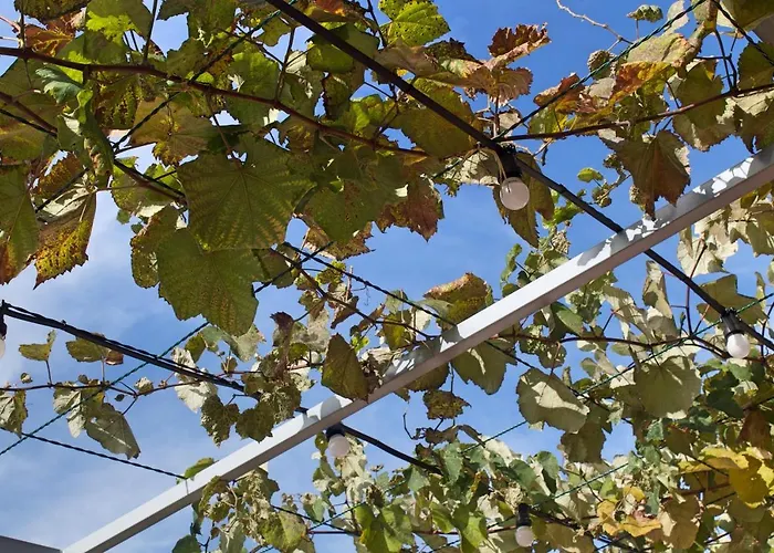 Ourmadeira - Do Mar Iv