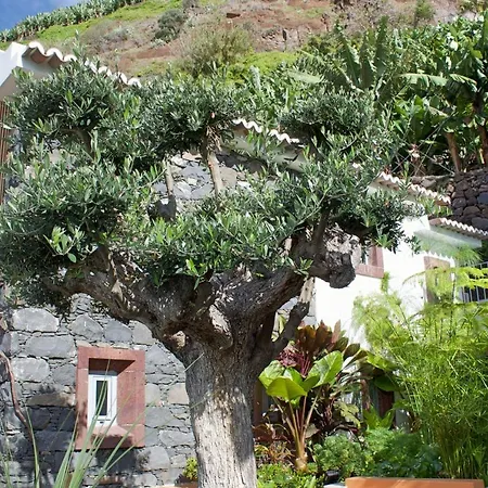 Ourmadeira - Do Mar Iv, Secluded Villa Calheta (Madeira)