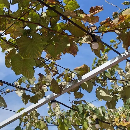 Ourmadeira - Do Mar Iv, Secluded