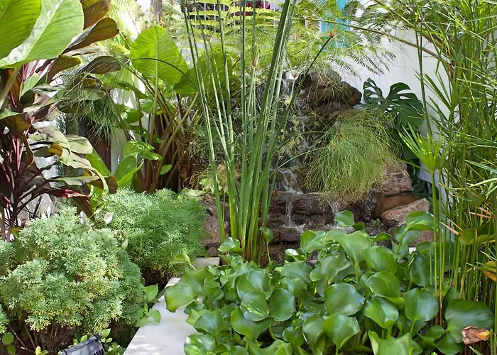 Ourmadeira - Do Mar Iv * Calheta (Madeira)